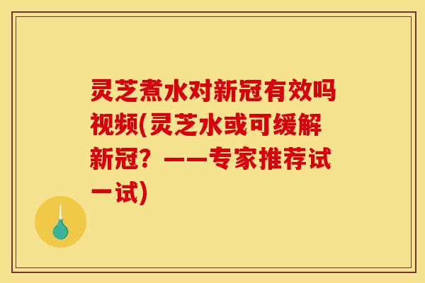 灵芝煮水对新冠有效吗视频(灵芝水或可缓解新冠？——专家推荐试一试)