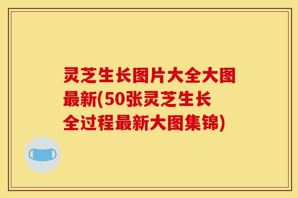 灵芝生长图片大全大图最新(50张灵芝生长全过程最新大图集锦)