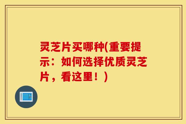 灵芝片买哪种(重要提示：如何选择优质灵芝片，看这里！)