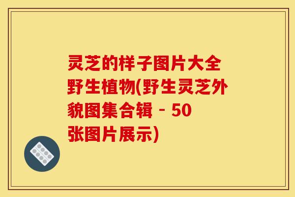 灵芝的样子图片大全 野生植物(野生灵芝外貌图集合辑 - 50张图片展示)
