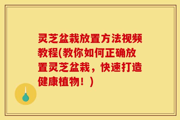 灵芝盆栽放置方法视频教程(教你如何正确放置灵芝盆栽，快速打造健康植物！)