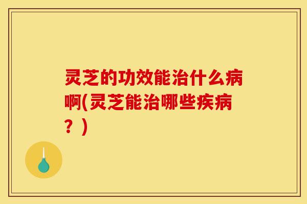 灵芝的功效能治什么病啊(灵芝能治哪些疾病？)