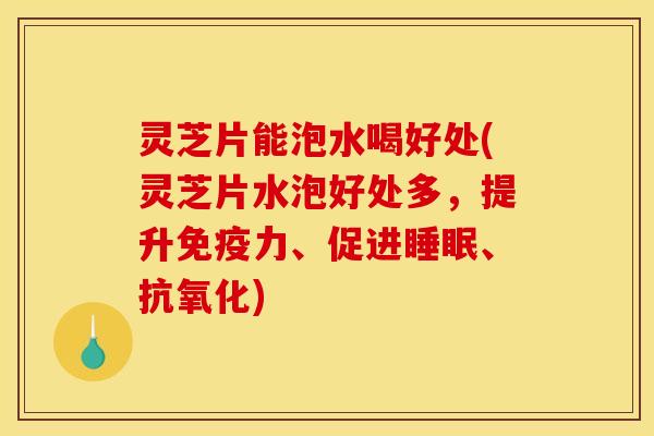 灵芝片能泡水喝好处(灵芝片水泡好处多，提升免疫力	、促进睡眠、抗氧化)