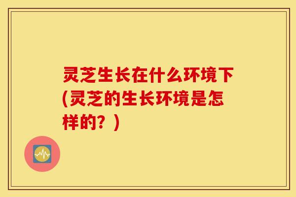灵芝生长在什么环境下(灵芝的生长环境是怎样的？)