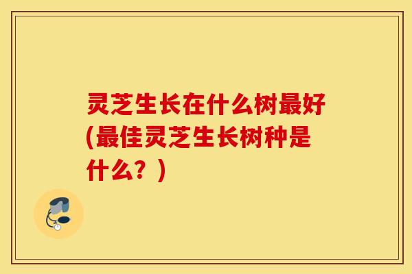 灵芝生长在什么树最好(最佳灵芝生长树种是什么？)