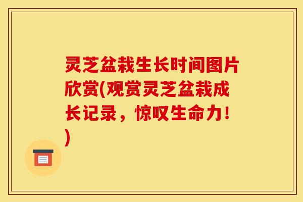 灵芝盆栽生长时间图片欣赏(观赏灵芝盆栽成长记录，惊叹生命力！)