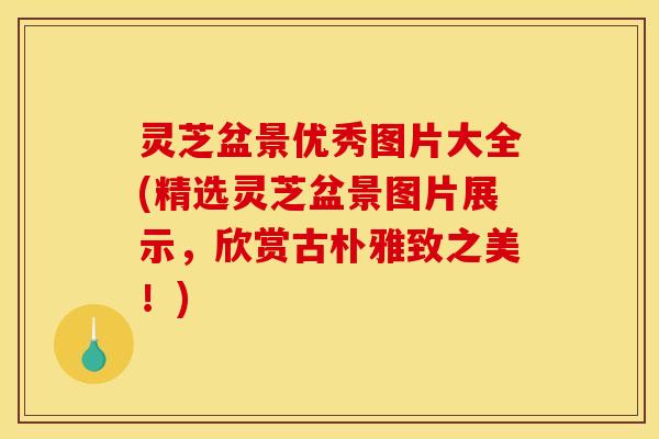 灵芝盆景优秀图片大全(精选灵芝盆景图片展示，欣赏古朴雅致之美！)