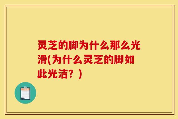 灵芝的脚为什么那么光滑(为什么灵芝的脚如此光洁？)