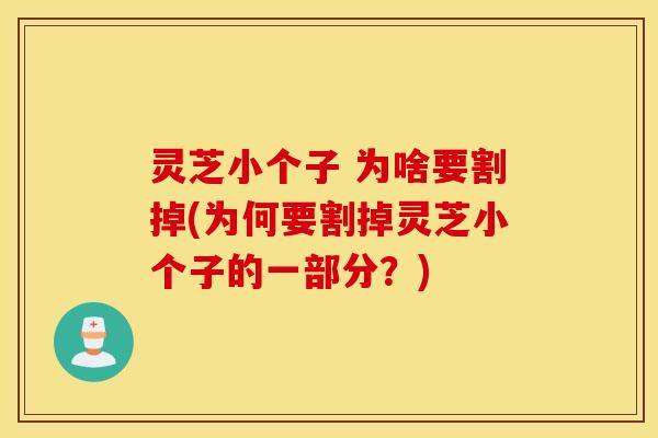 灵芝小个子 为啥要割掉(为何要割掉灵芝小个子的一部分？)