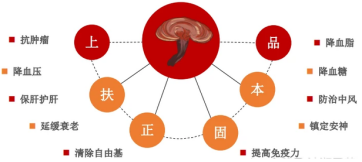 灵芝孢子粉哪家好?内行看门道,你会看哪道? 灵芝孢子粉哪家好?内行看门道,你会看哪道?