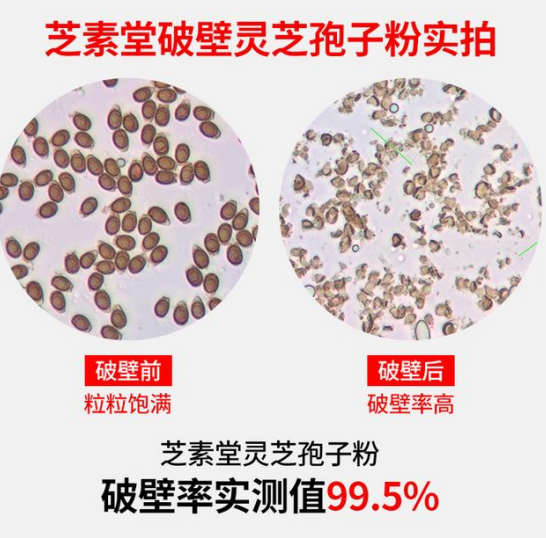 什么叫破壁灵芝孢子粉?孢子粉行家的建议来看一看! 什么叫破壁灵芝孢子粉?孢子粉行家的建议来看一看!