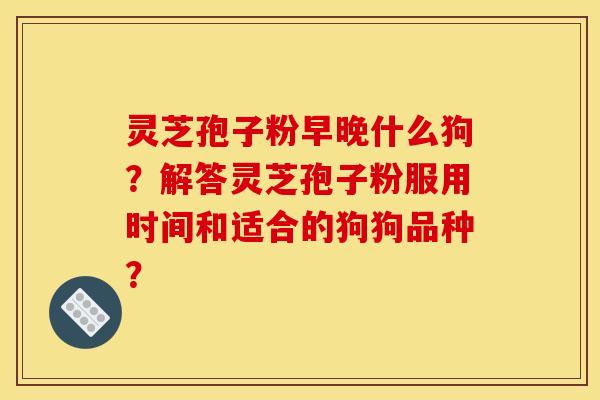 灵芝孢子粉早晚什么狗?解答灵芝孢子粉服用时间和适合的狗狗品种? 灵芝孢子粉早晚什么狗?解答灵芝孢子粉服用时间和适合的狗狗品种?