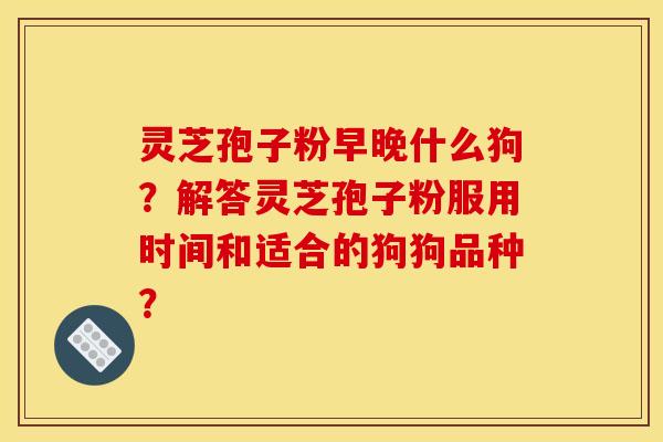 灵芝孢子粉早晚什么狗？解答灵芝孢子粉服用时间和适合的狗狗品种？