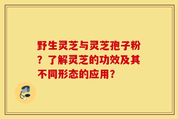 野生灵芝与灵芝孢子粉？了解灵芝的功效及其不同形态的应用？