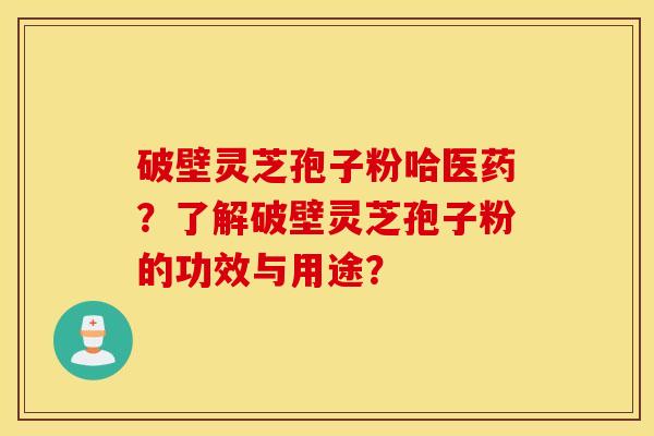 破壁灵芝孢子粉哈医药？了解破壁灵芝孢子粉的功效与用途？