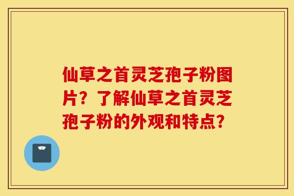 仙草之首灵芝孢子粉图片？了解仙草之首灵芝孢子粉的外观和特点？