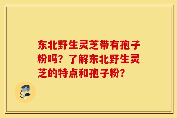 东北野生灵芝带有孢子粉吗？了解东北野生灵芝的特点和孢子粉？