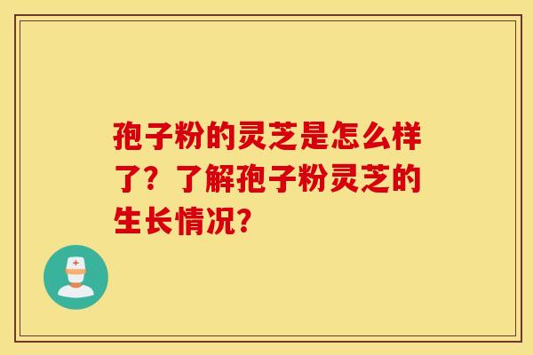 孢子粉的灵芝是怎么样了？了解孢子粉灵芝的生长情况？