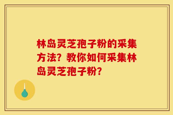 林岛灵芝孢子粉的采集方法？教你如何采集林岛灵芝孢子粉？