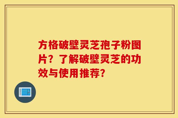 方格破壁灵芝孢子粉图片？了解破壁灵芝的功效与使用推荐？