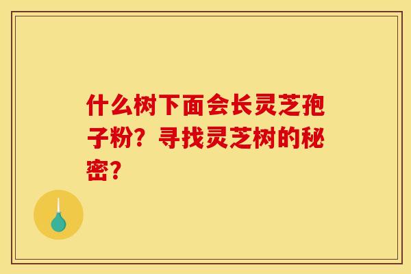 什么树下面会长灵芝孢子粉？寻找灵芝树的秘密？