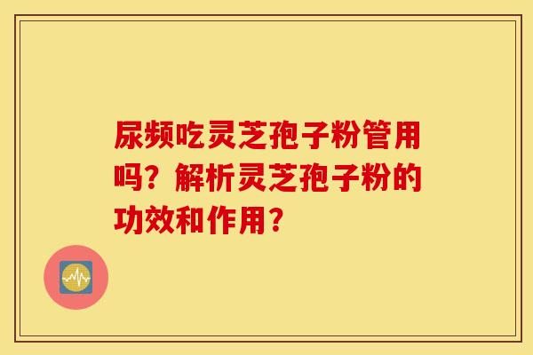 尿频吃灵芝孢子粉管用吗？解析灵芝孢子粉的功效和作用？