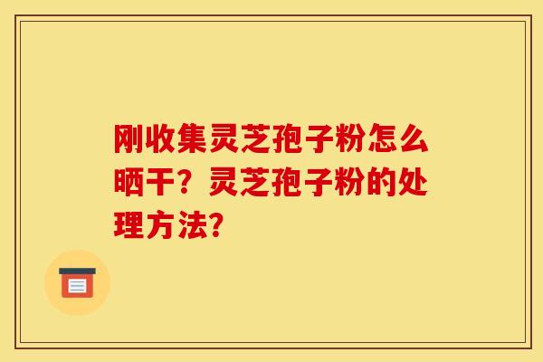 刚收集灵芝孢子粉怎么晒干？灵芝孢子粉的处理方法？