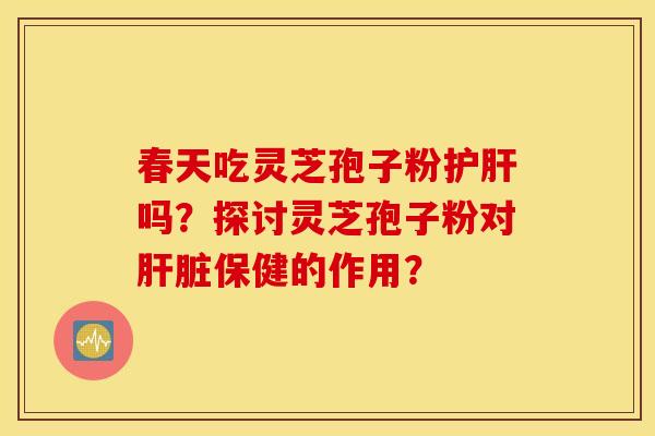 春天吃灵芝孢子粉护肝吗？探讨灵芝孢子粉对肝脏保健的作用？