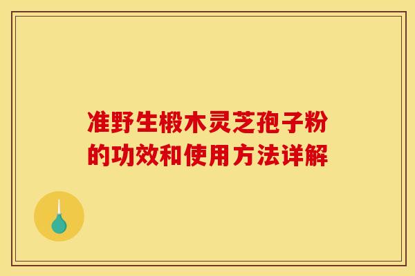 准野生椴木灵芝孢子粉的功效和使用方法详解