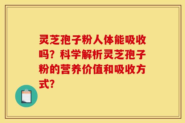 灵芝孢子粉人体能吸收吗？科学解析灵芝孢子粉的营养价值和吸收方式？