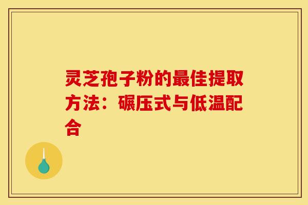 灵芝孢子粉的最佳提取方法：碾压式与低温配合