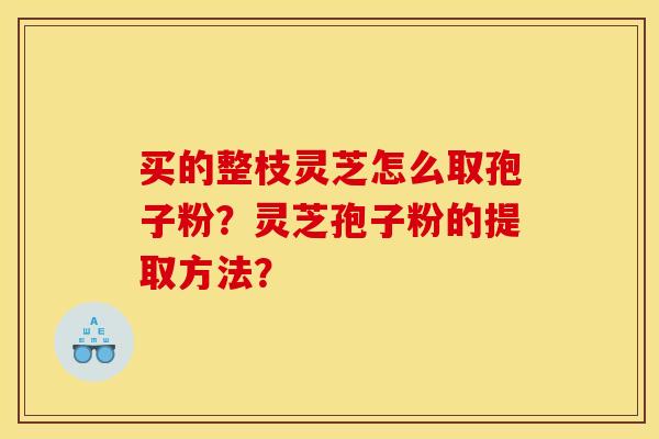 买的整枝灵芝怎么取孢子粉？灵芝孢子粉的提取方法？