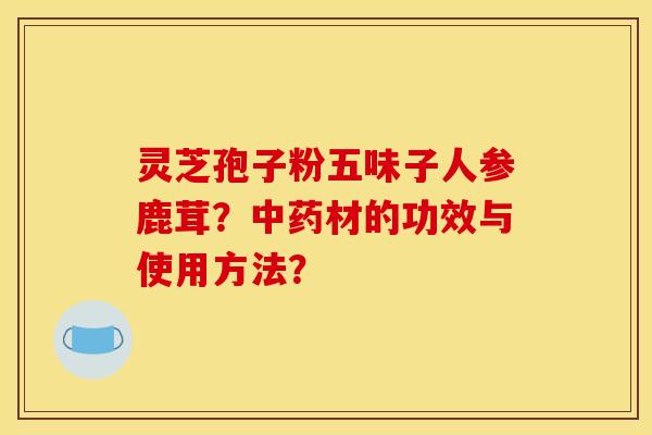 灵芝孢子粉五味子人参鹿茸？中药材的功效与使用方法？