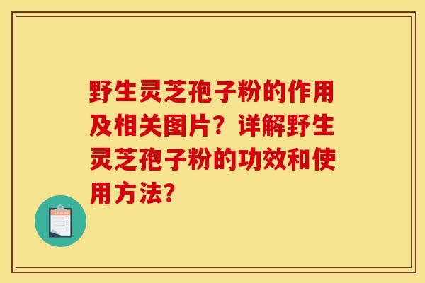 野生灵芝孢子粉的作用及相关图片？详解野生灵芝孢子粉的功效和使用方法？
