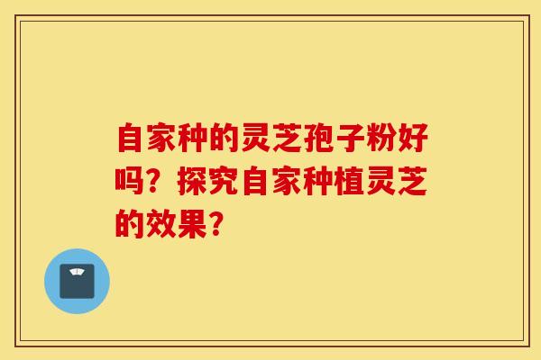 自家种的灵芝孢子粉好吗？探究自家种植灵芝的效果？