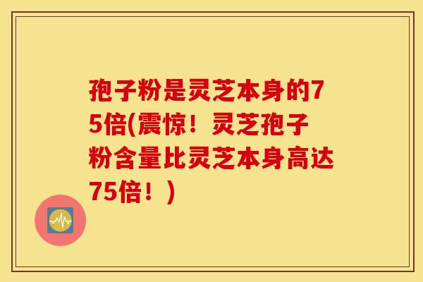 孢子粉是灵芝本身的75倍(震惊！灵芝孢子粉含量比灵芝本身高达75倍！)