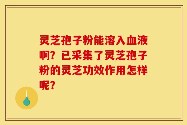 灵芝孢子粉能溶入血液啊？已采集了灵芝孢子粉的灵芝功效作用怎样呢？