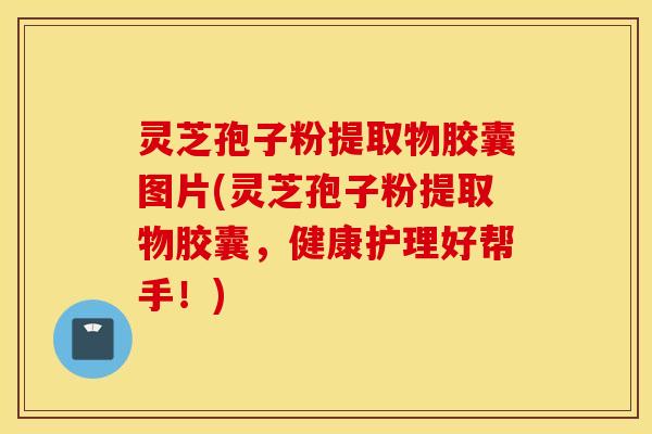 灵芝孢子粉提取物胶囊图片(灵芝孢子粉提取物胶囊，健康护理好帮手！)