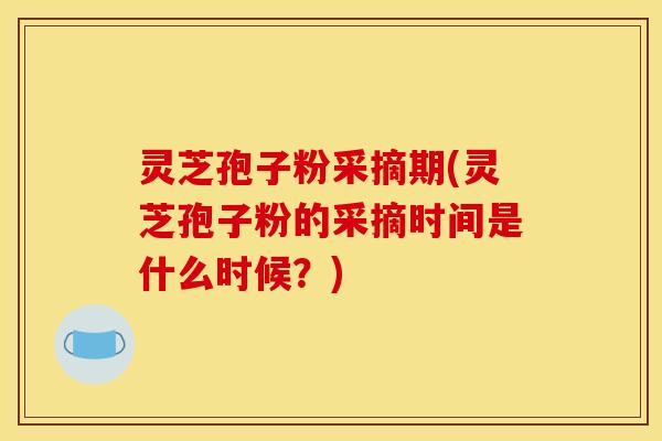 灵芝孢子粉采摘期(灵芝孢子粉的采摘时间是什么时候？)