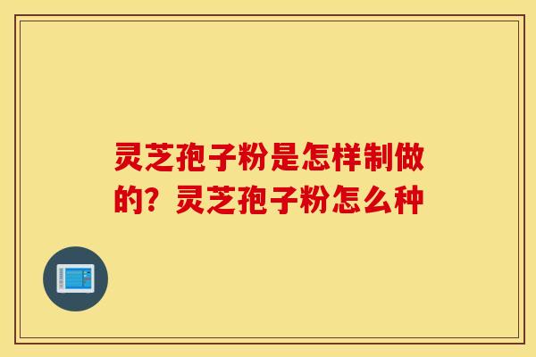 灵芝孢子粉是怎样制做的？灵芝孢子粉怎么种