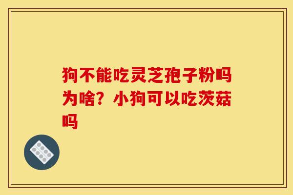 狗不能吃灵芝孢子粉吗为啥？小狗可以吃茨菇吗
