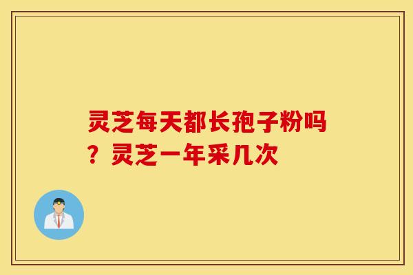 灵芝每天都长孢子粉吗？灵芝一年采几次