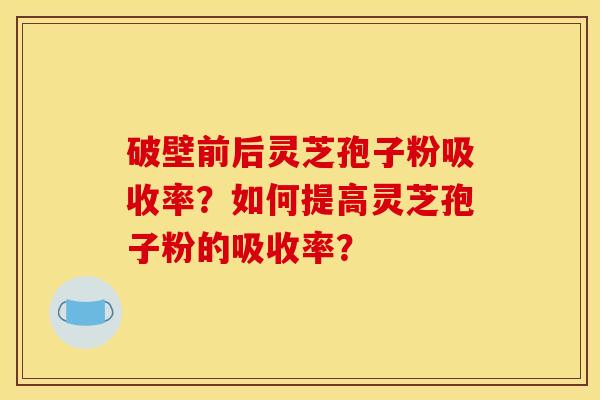 破壁前后灵芝孢子粉吸收率？如何提高灵芝孢子粉的吸收率？