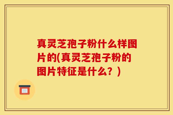 真灵芝孢子粉什么样图片的(真灵芝孢子粉的图片特征是什么？)