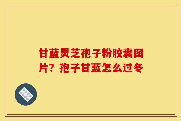 甘蓝灵芝孢子粉胶囊图片？孢子甘蓝怎么过冬