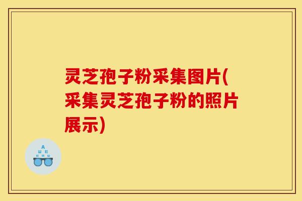 灵芝孢子粉采集图片(采集灵芝孢子粉的照片展示)