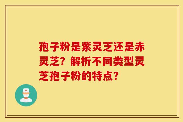 孢子粉是紫灵芝还是赤灵芝？解析不同类型灵芝孢子粉的特点？