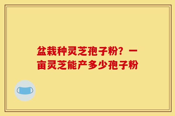 盆栽种灵芝孢子粉？一亩灵芝能产多少孢子粉