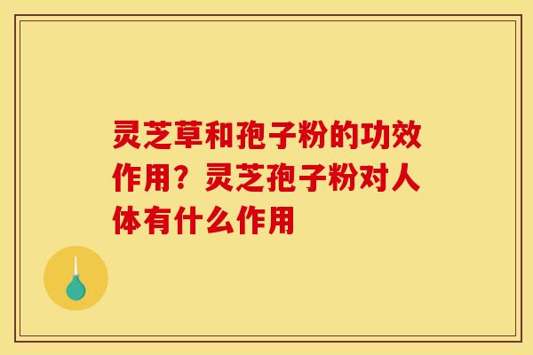 灵芝草和孢子粉的功效作用？灵芝孢子粉对人体有什么作用