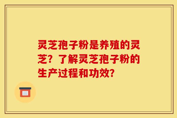 灵芝孢子粉是养殖的灵芝？了解灵芝孢子粉的生产过程和功效？